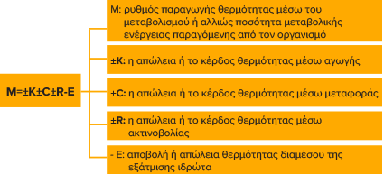 Εικόνα 1