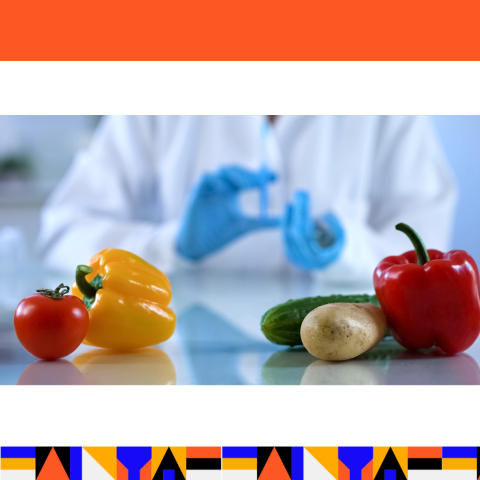 Εικόνα σεμιναρίου Ασφάλειας Τροφίμων